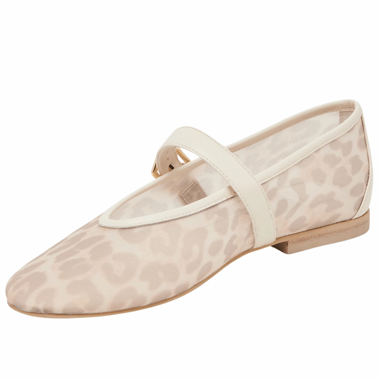 Roslyn Ballet Flat