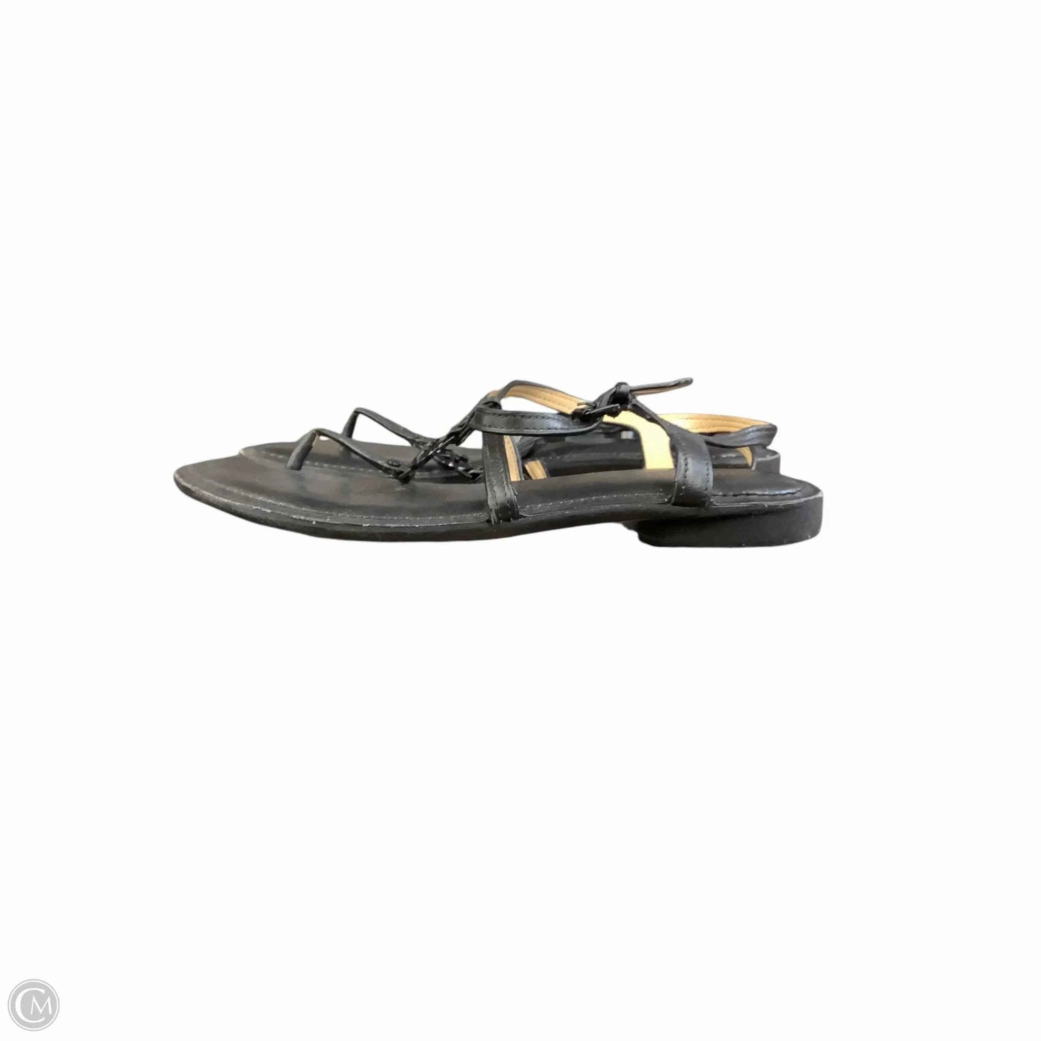 Sandals Flip Flops By Michael By Michael Kors In Black, Size: 5